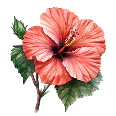 Medicinal Plants Clipart Bundle - CraftNest - Digital Crafting and Art