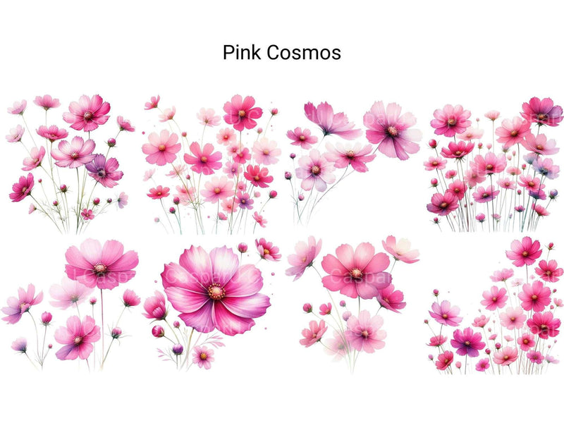 Pink Cosmos - CraftNest - Digital Crafting and Art