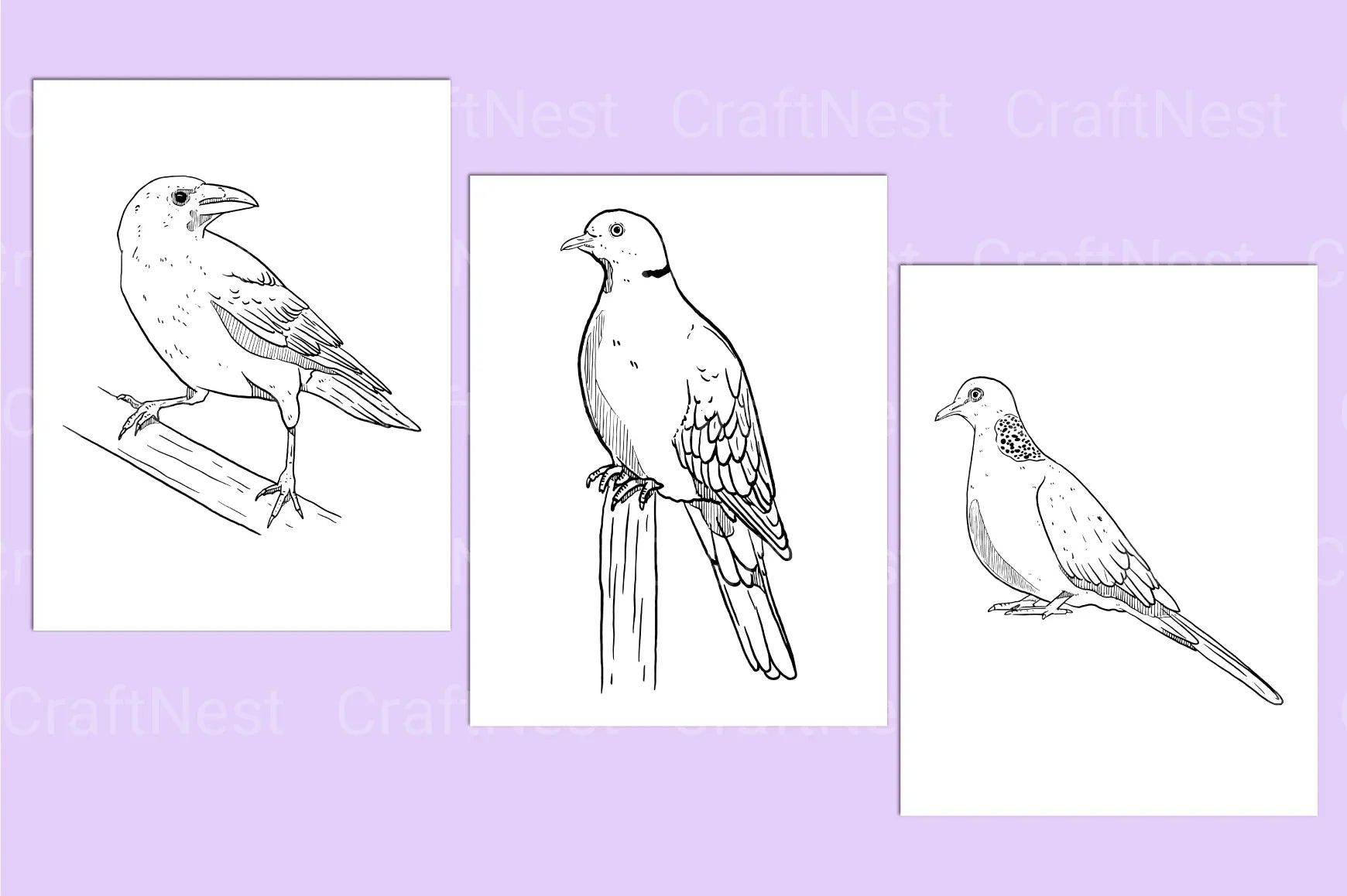 Birds Coloring Page - CraftNest - Digital Crafting and Art