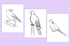 Birds Coloring Page - CraftNest - Digital Crafting and Art