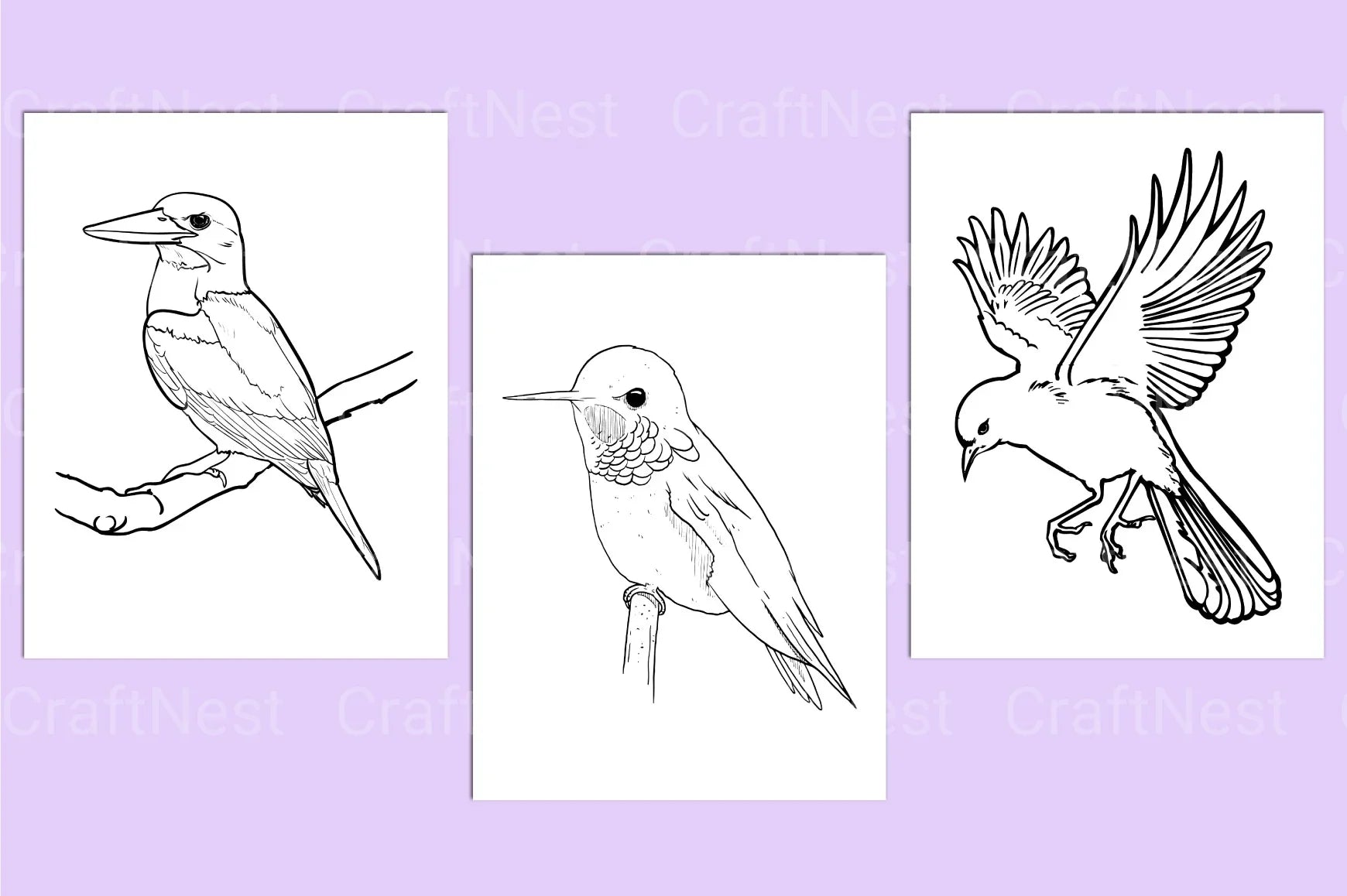 Birds Coloring Page - CraftNest - Digital Crafting and Art