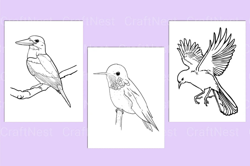 Birds Coloring Page - CraftNest - Digital Crafting and Art