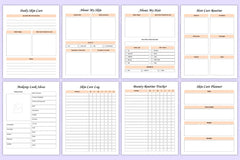 Effective Skin Care Routine Guide - CraftNest - Digital Crafting and Art