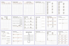 Mega Budget Sheets for Effective Financial Planning - CraftNest - Digital Crafting and Art