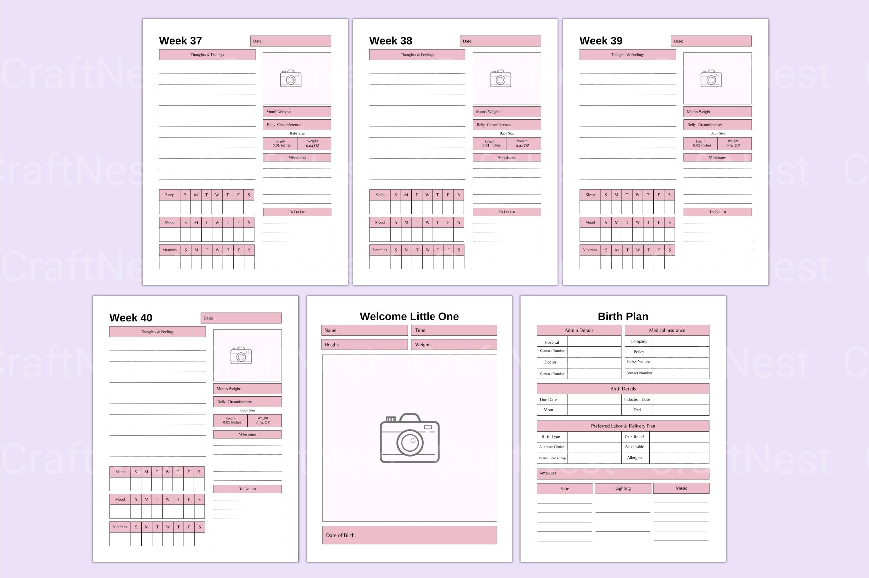 Comprehensive Guide to Pregnancy: Essential Tips and Advice - CraftNest - Digital Crafting and Art