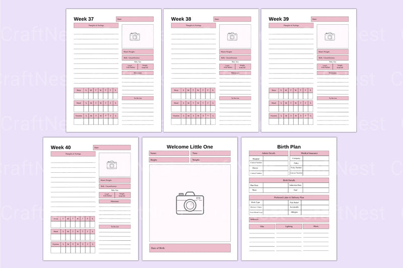 Comprehensive Guide to Pregnancy: Essential Tips and Advice - CraftNest - Digital Crafting and Art