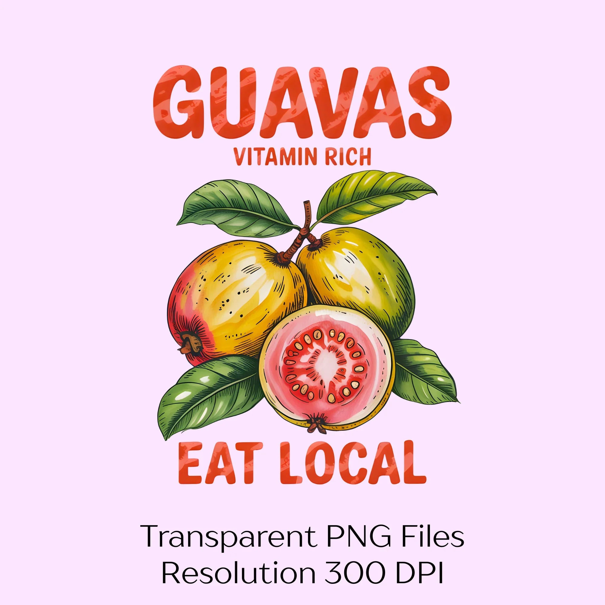Vintages Guavas Label Clipart Bundle - CraftNest - Digital Crafting and Art