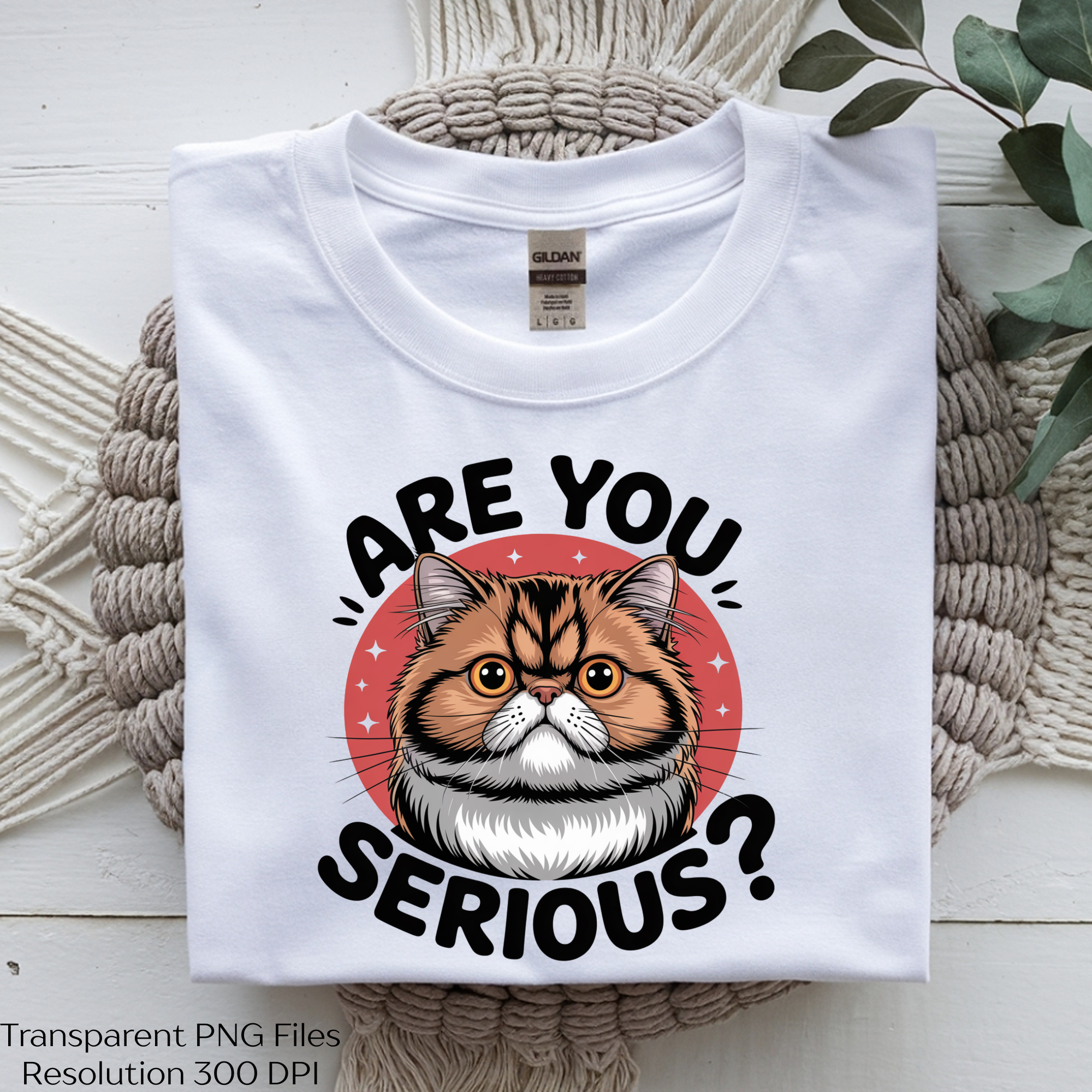 Curious Cat Funny Clipart Bundle - CraftNest - Digital Crafting and Art