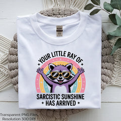 Funny Sarcastic Raccoon Quote Clipart Bundle - CraftNest - Digital Crafting and Art