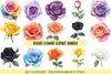 Roses Flower Clipart