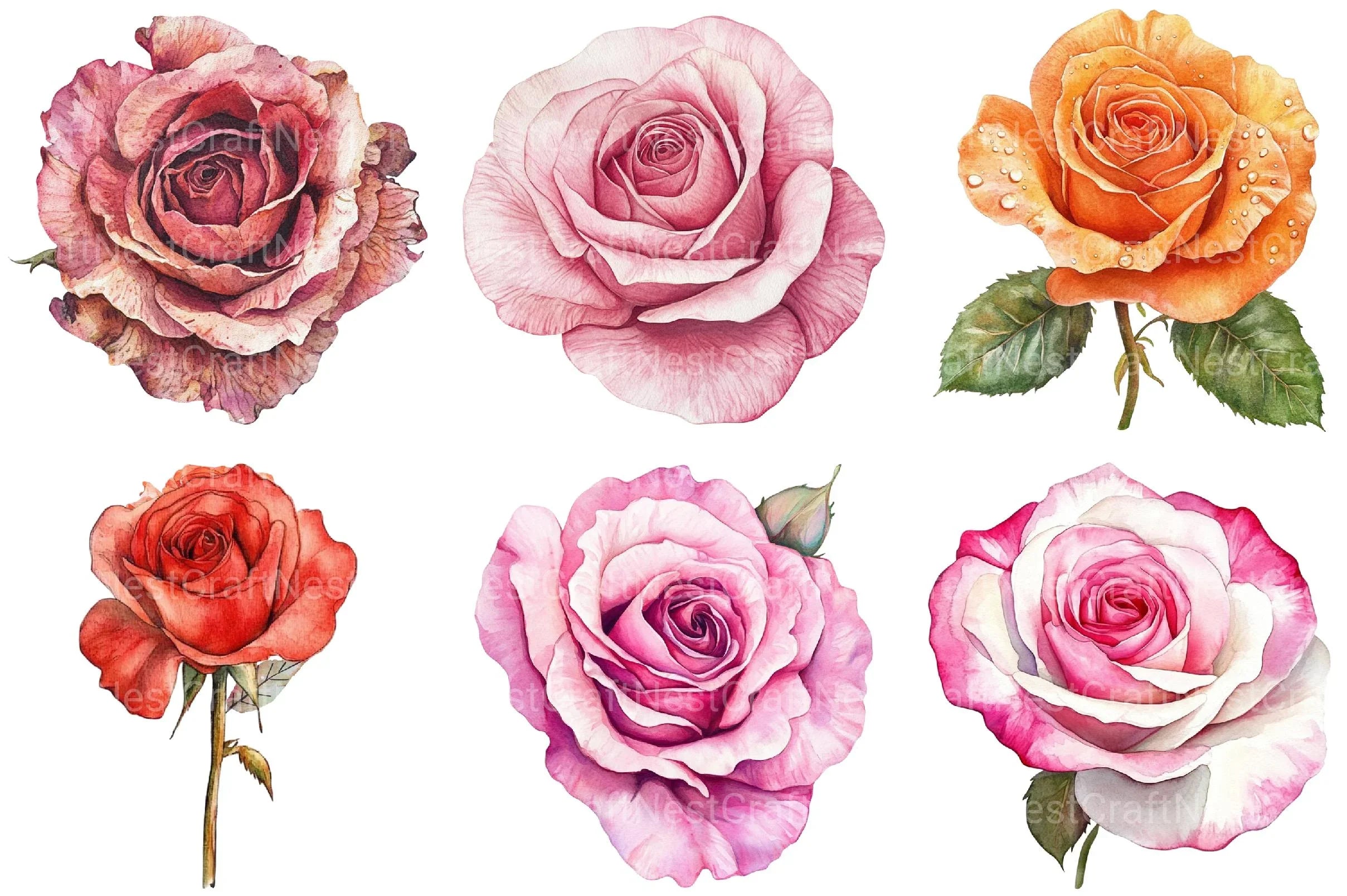 Roses Flower Clipart - CraftNest - Digital Crafting and Art