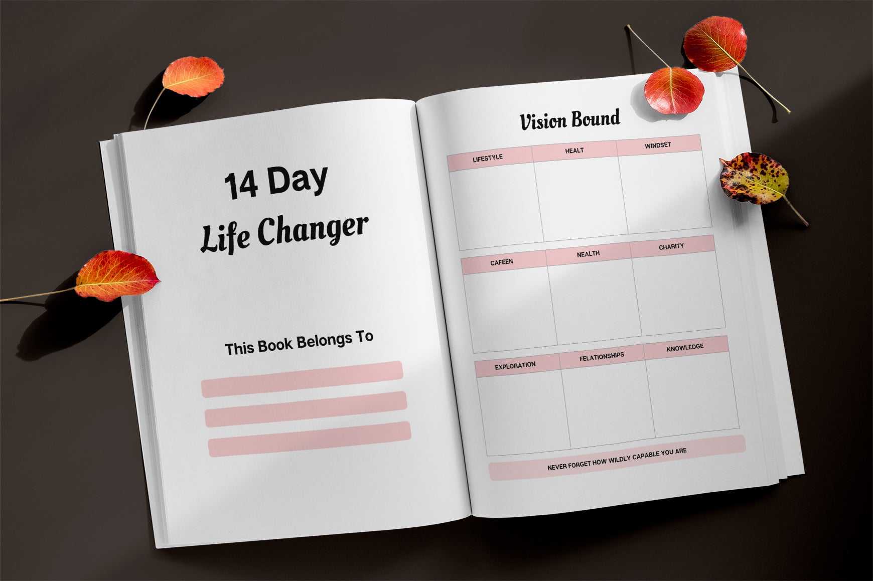Day Life Changer Planner
