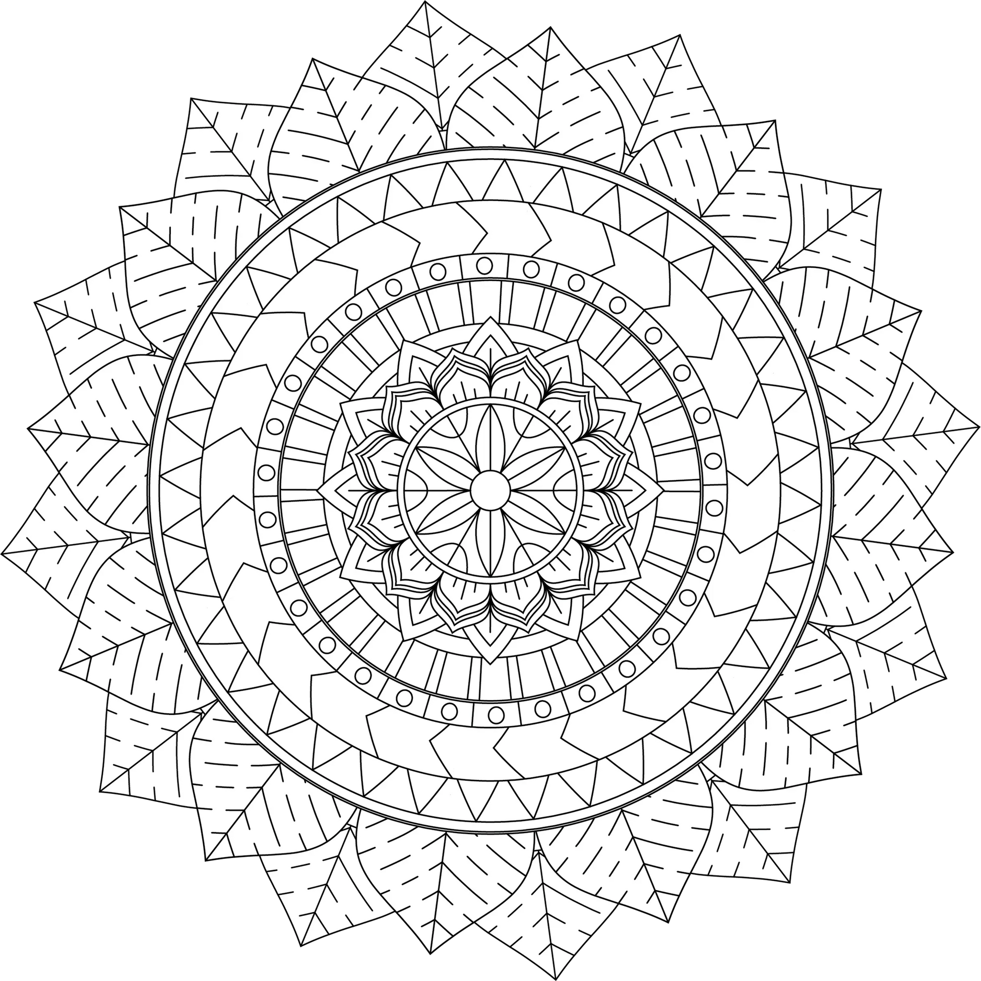 Colorist Heaven Southwest Coloring Book - CraftNest - Digital Crafting and Art