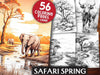 Safari Spring Coloring Books