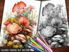 Sea Shell Coloring Books