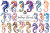 Seahorse Clipart Bundle