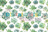 Seamless Succulent Digital Paper