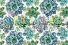 Seamless Succulent Digital Paper