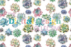 Seamless Succulent Digital Paper