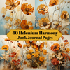 Helenium Harmony Junk Journal Seiten