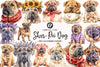 Shar Pei Dog Clipart Bundle