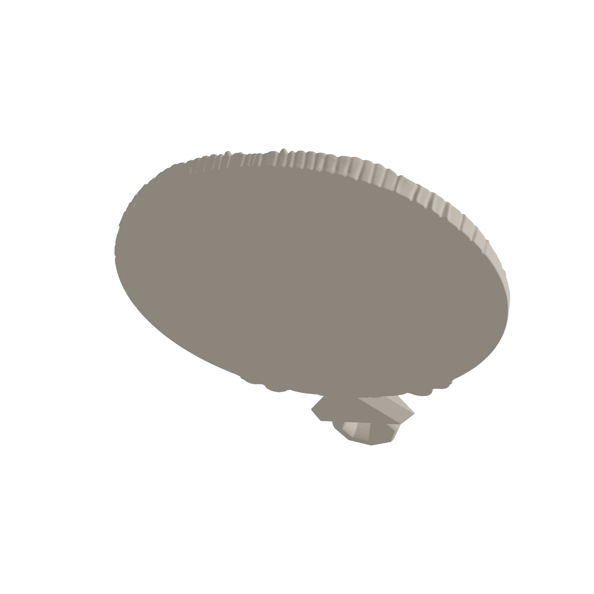 Skull Coin 3D Print STL File