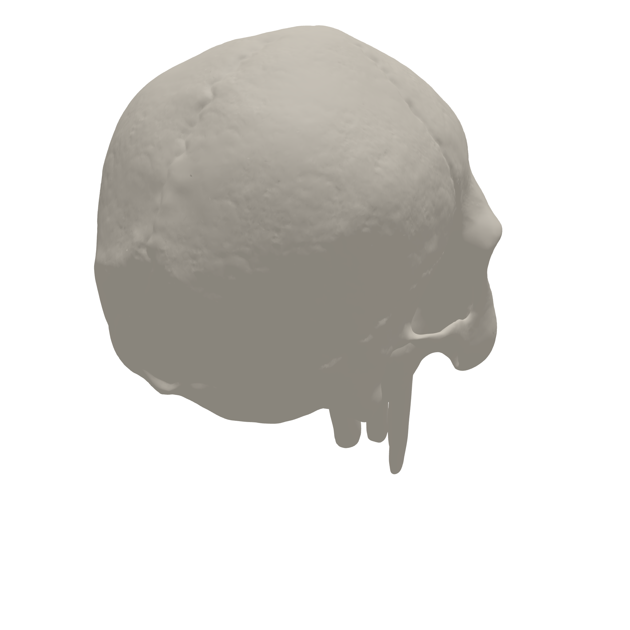 Skull 3D Print STL File