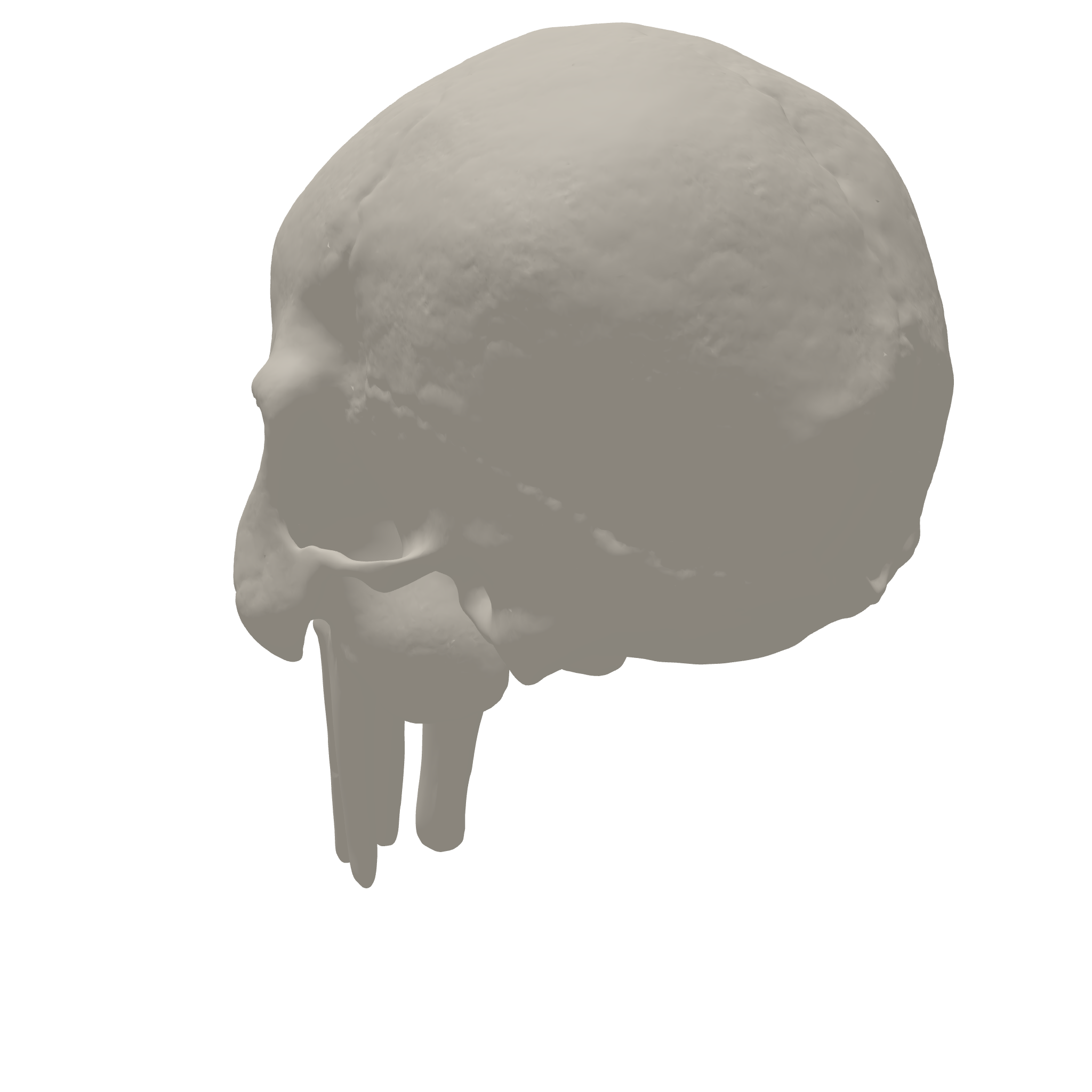 Skull 3D Print STL File