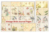 Vintage Birds Background Junk Journal Bundle