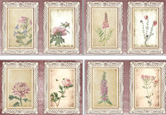Pink Botanicals Clipart Bundle - CraftNest - Digital Crafting and Art