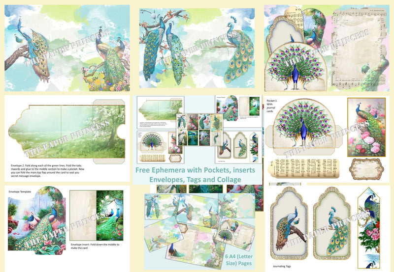 Peacock Backgrounds and Clipart Bundle - CraftNest - Digital Crafting and Art