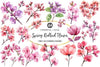 Spring Redbud Flower Clipart Bundle