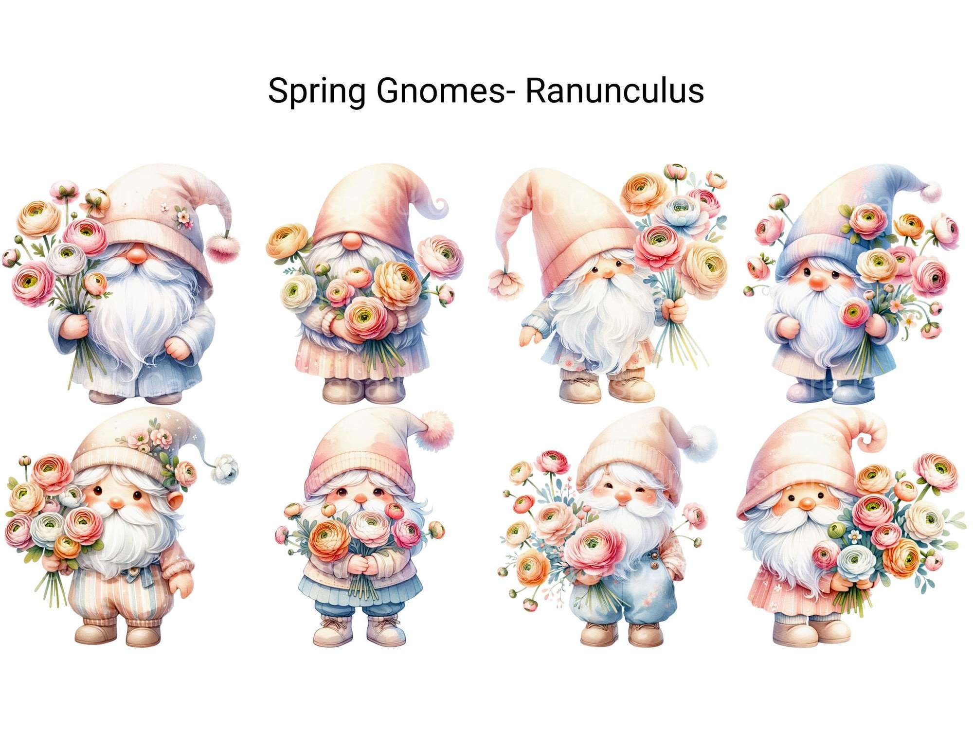 Spring Gnomes Ranunculus - CraftNest - Digital Crafting and Art