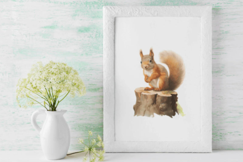 Squirrel Clipart Bundle - CraftNest - Digital Crafting and Art