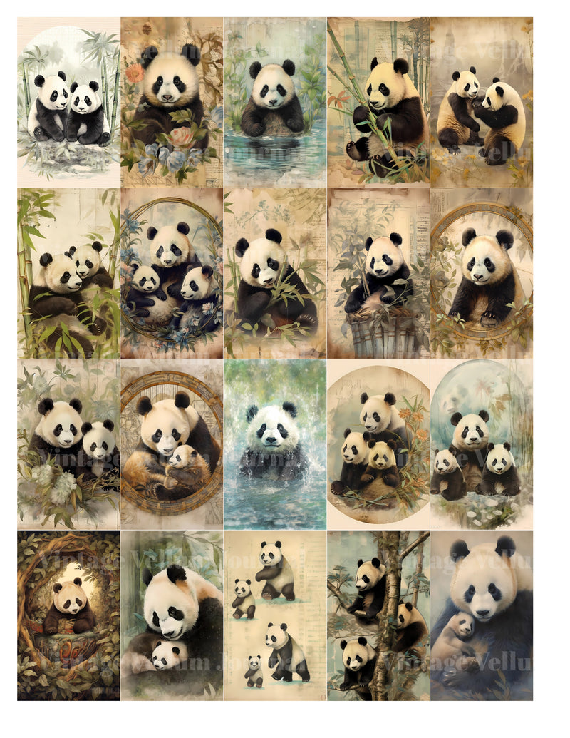 Baby Panda Junk Journal Pages - CraftNest