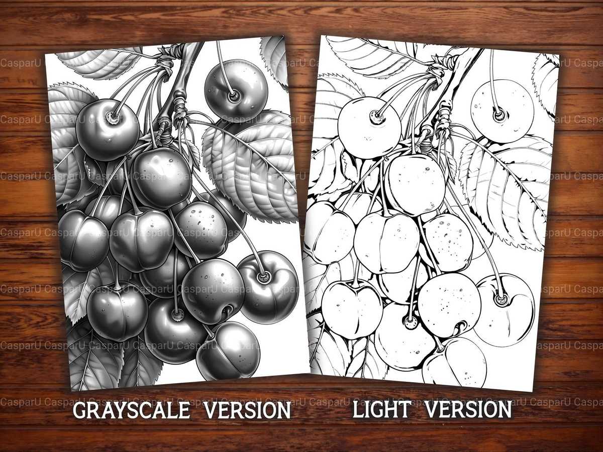 Stone Fruit Coloring Books - CraftNest - Digital Crafting and Art