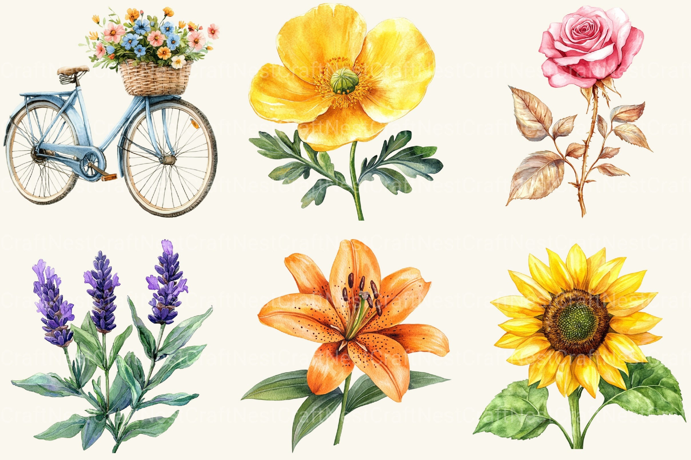 Summer Flower Clipart Bundle 3 - CraftNest - Digital Crafting and Art
