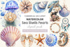 Summer Sea Shells Pearls Clipart Bundle