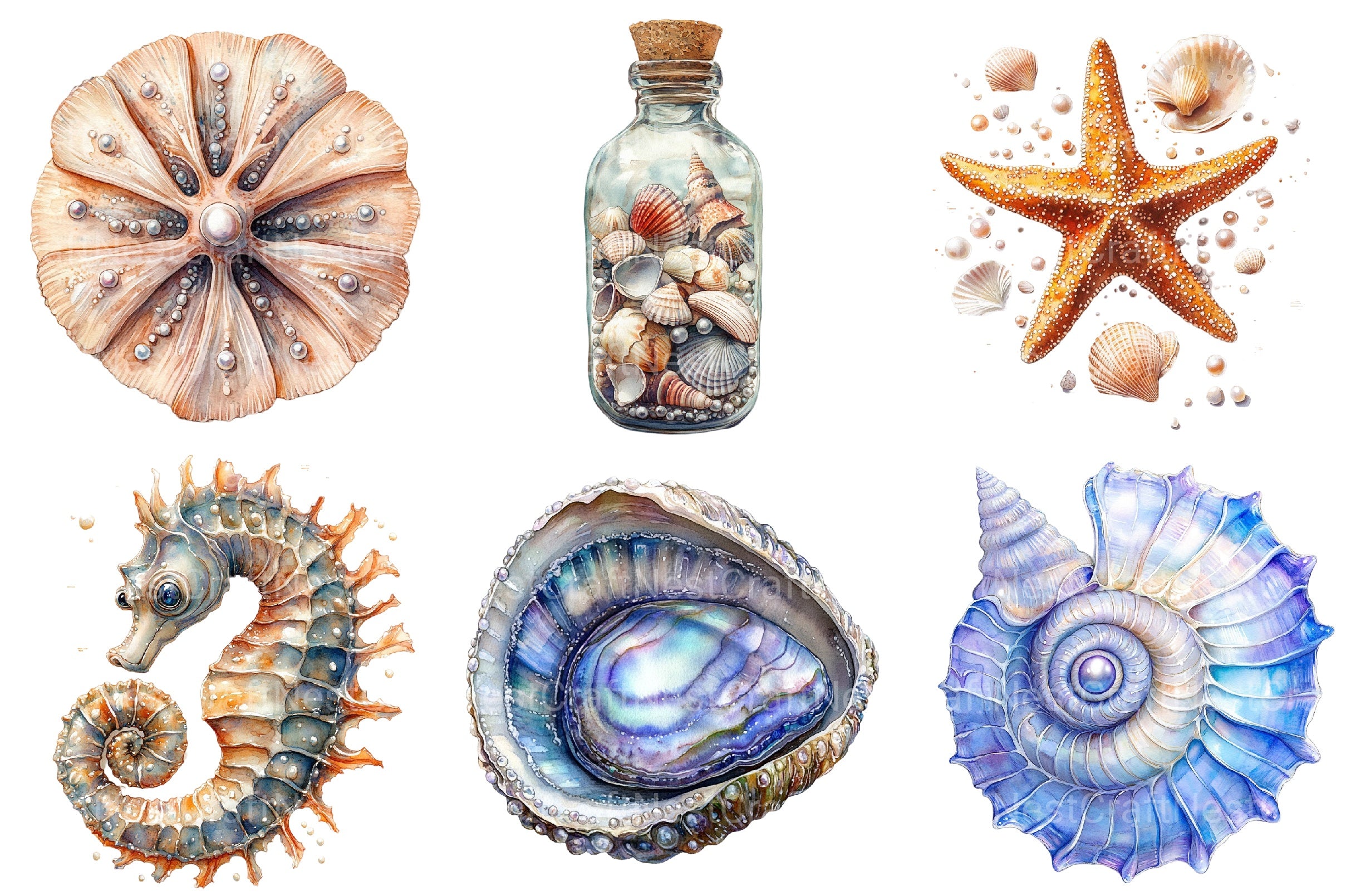 Summer Sea Shells Pearls Clipart Bundle - CraftNest - Digital Crafting and Art
