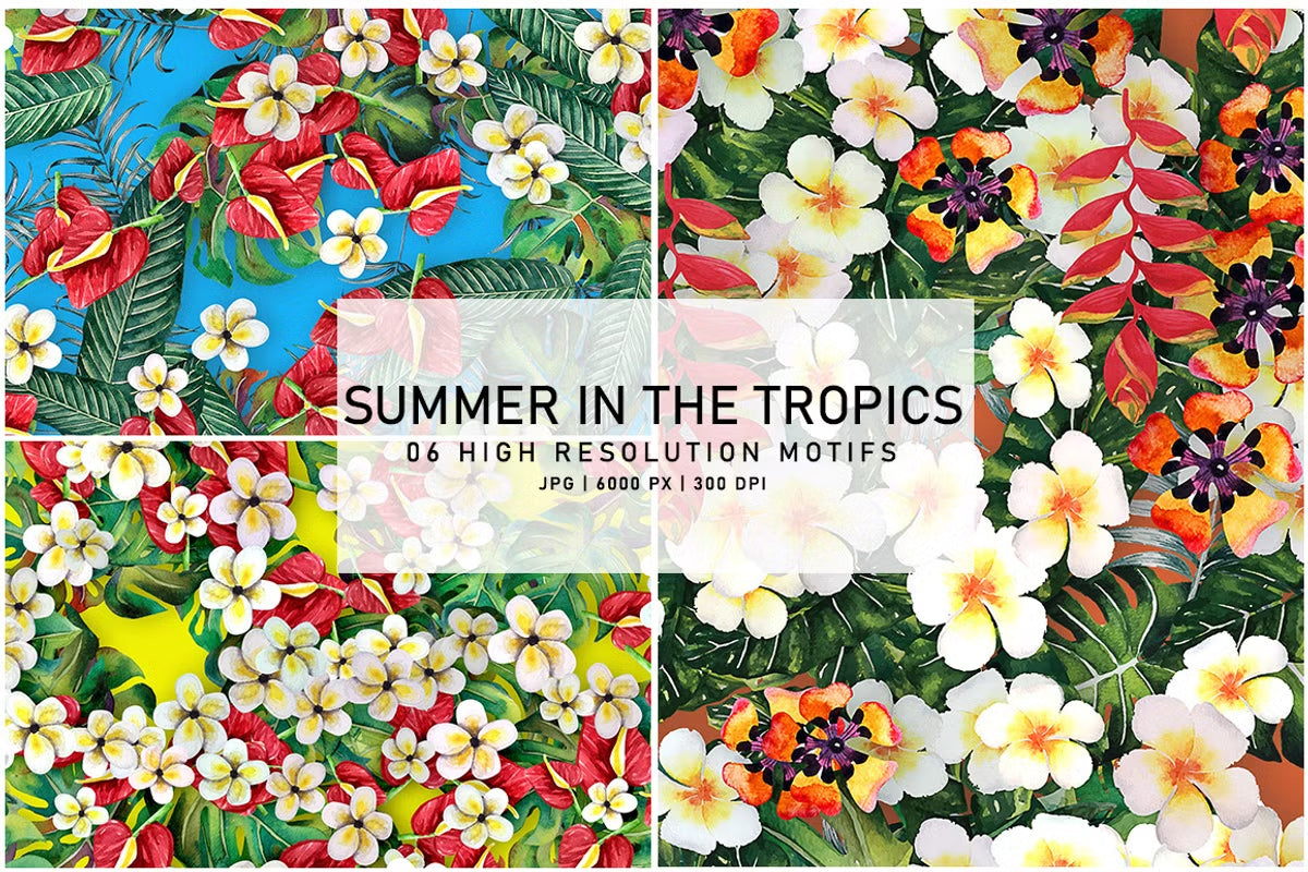 Summer in the Tropics