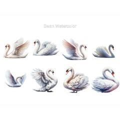 Watercolor Swan Clipart - CraftNest - Digital Crafting and Art