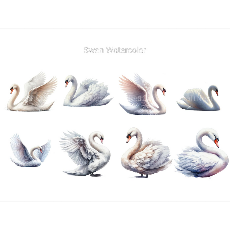 Watercolor Swan Clipart - CraftNest - Digital Crafting and Art