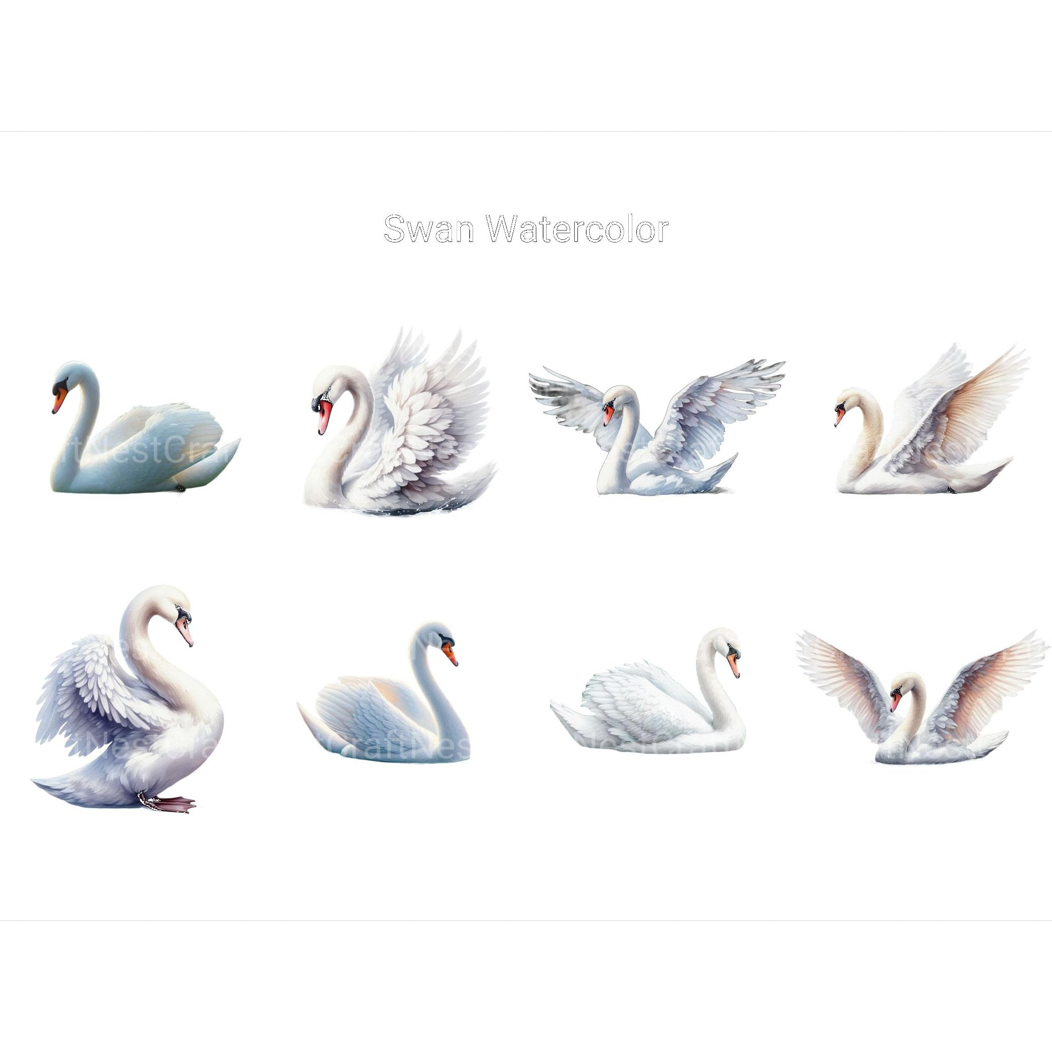 Watercolor Swan Clipart - CraftNest - Digital Crafting and Art
