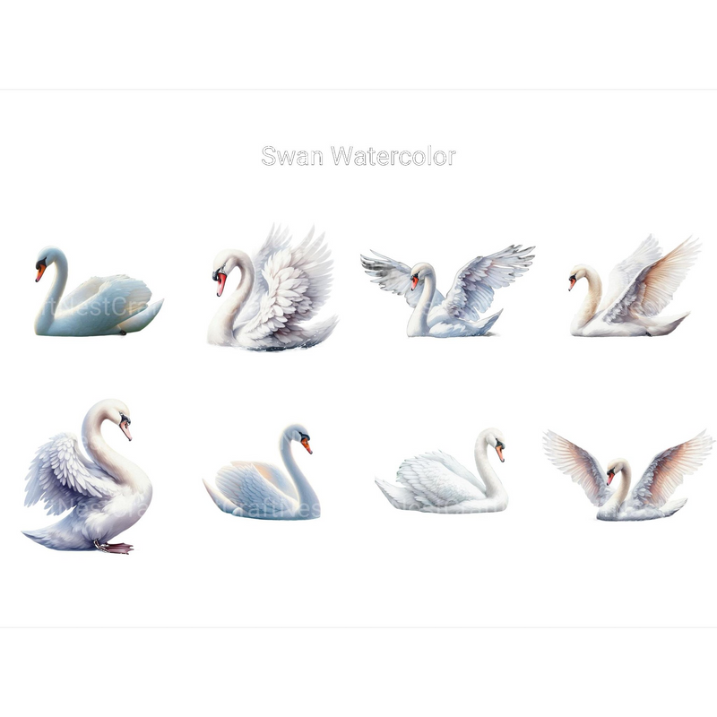Watercolor Swan Clipart - CraftNest - Digital Crafting and Art