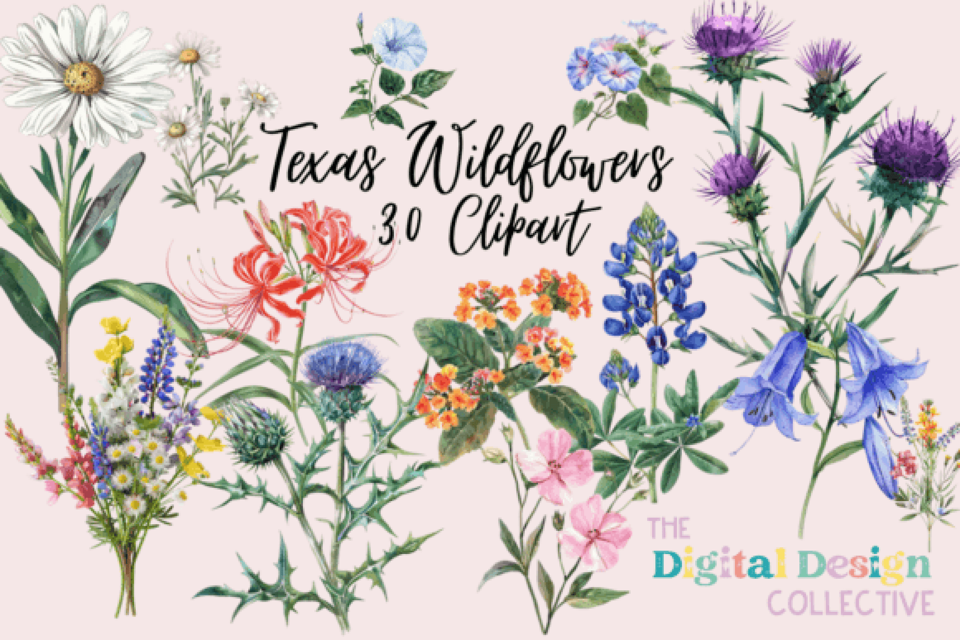Texas Native Wildflowers Clipart Bundle - CraftNest - Digital Crafting and Art