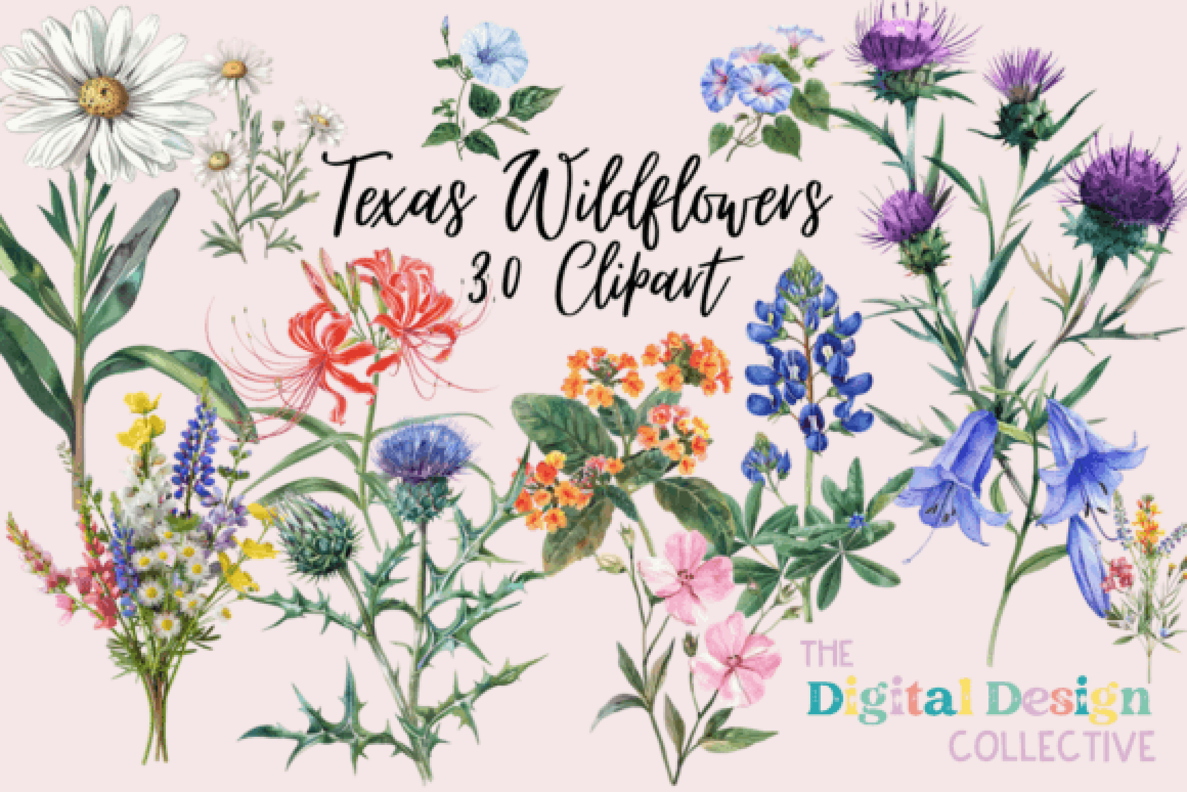 Texas Native Wildflowers Clipart Bundle - CraftNest - Digital Crafting and Art