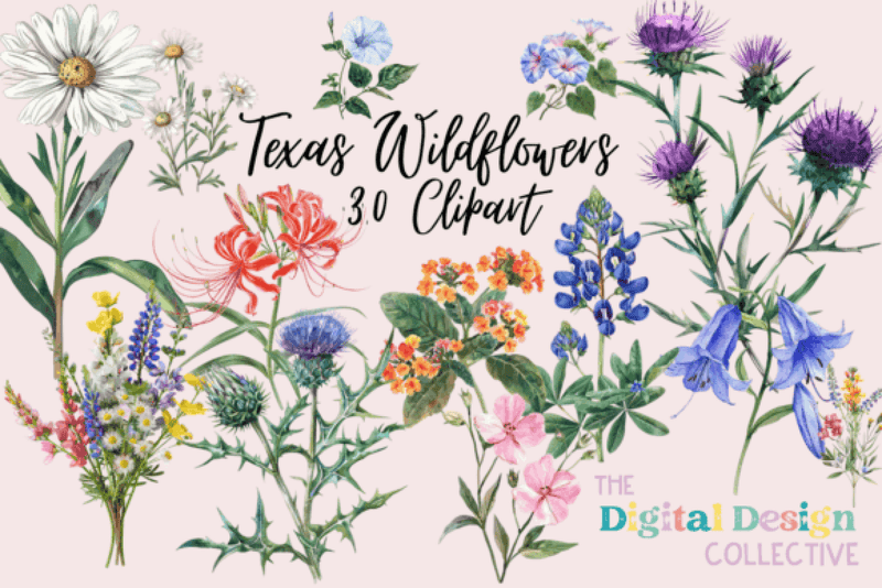 Texas Native Wildflowers Clipart Bundle - CraftNest - Digital Crafting and Art