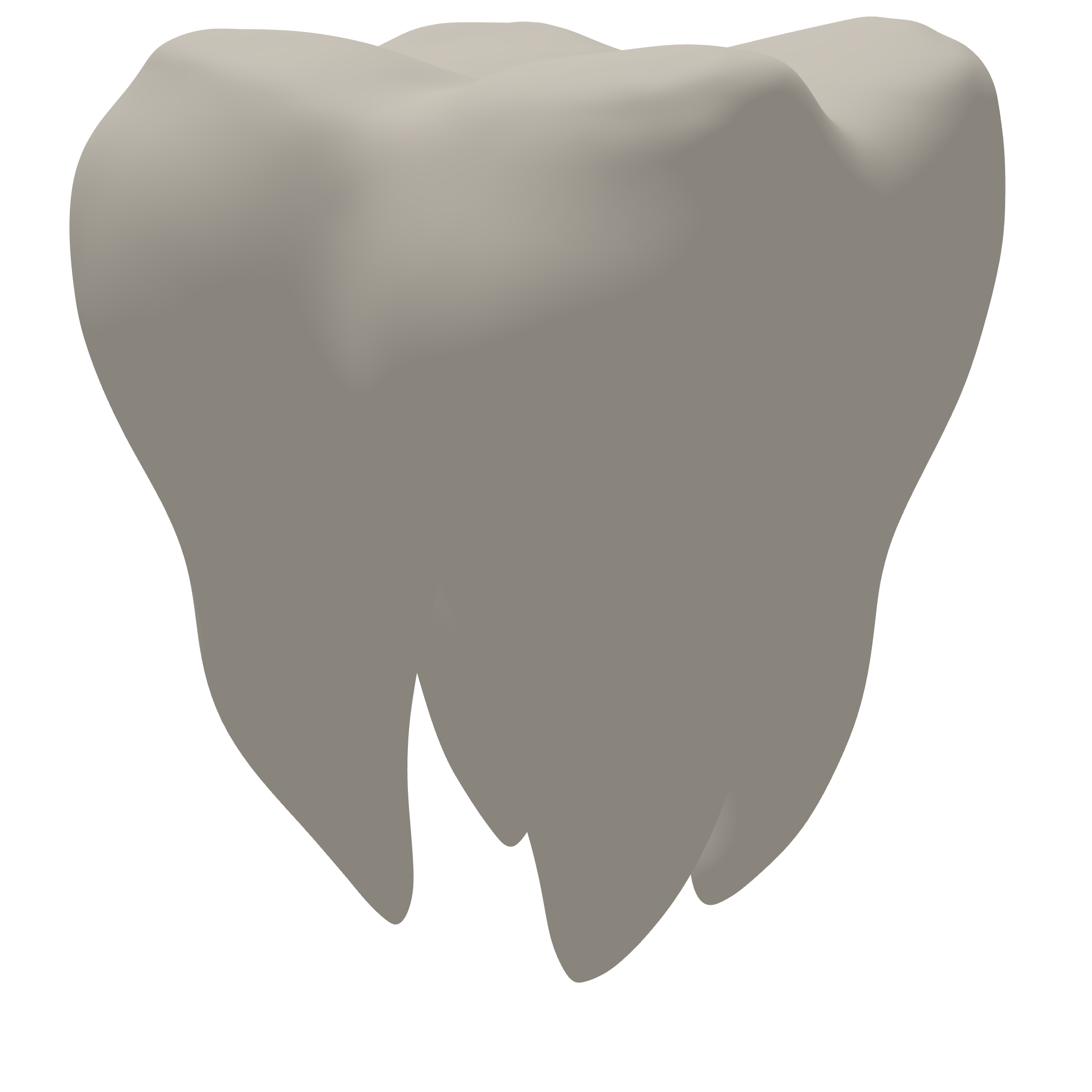 Tooth 3D Print STL File