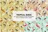 Tropical Birds