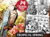 Tropical Spring Coloring Books